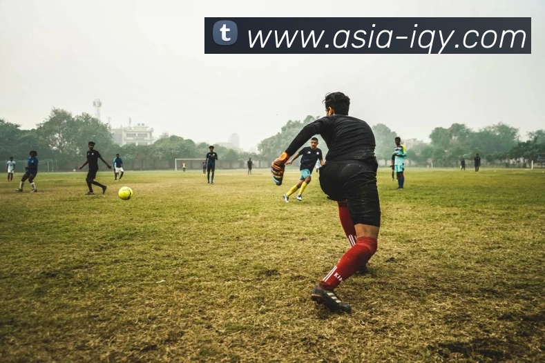 爱奇艺体育发展历程